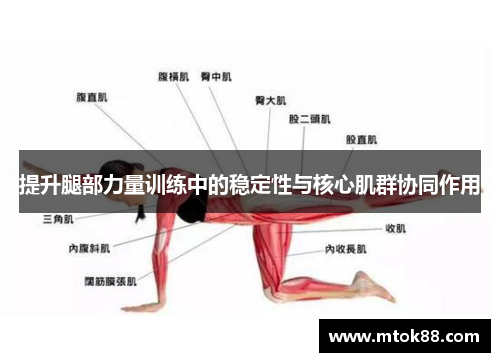 提升腿部力量训练中的稳定性与核心肌群协同作用